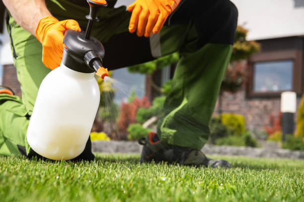 Wildlife Control Services in North Fort Myers, FL