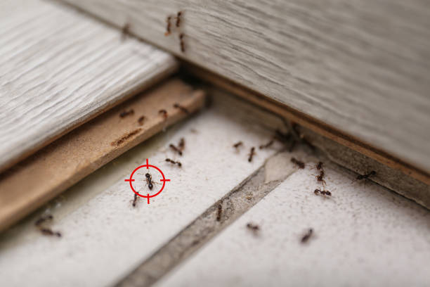 North Fort Myers, FL Pest Control Company