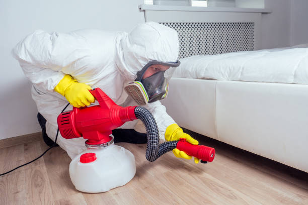 Best Pest Removal Services  in North Fort Myers, FL