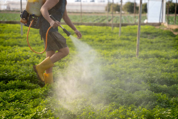 Best Pest Prevention Services  in North Fort Myers, FL