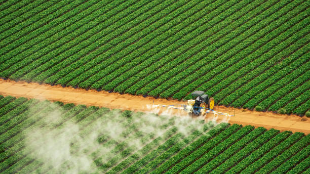 Professional Pest Control in North Fort Myers, FL