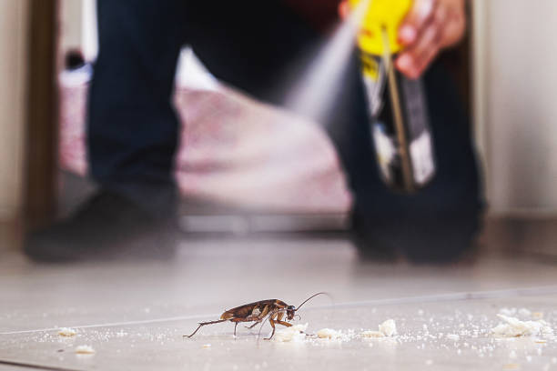 Best Emergency Pest Control  in North Fort Myers, FL