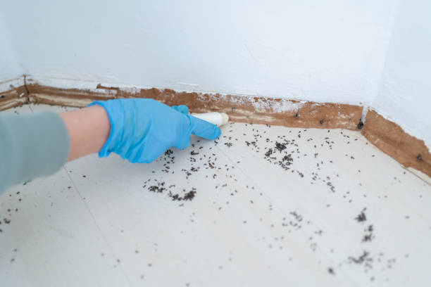 Best Best Pest Control Companies  in North Fort Myers, FL