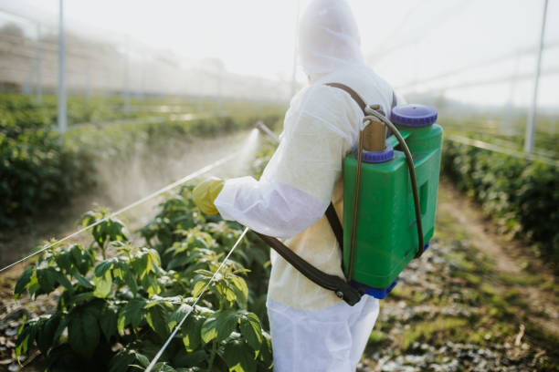 Best Pest Inspection Near Me  in North Fort Myers, FL